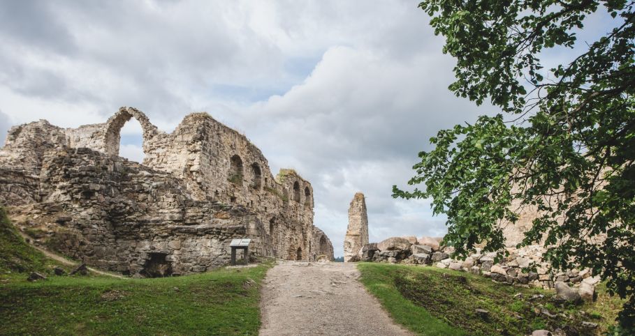 koknes