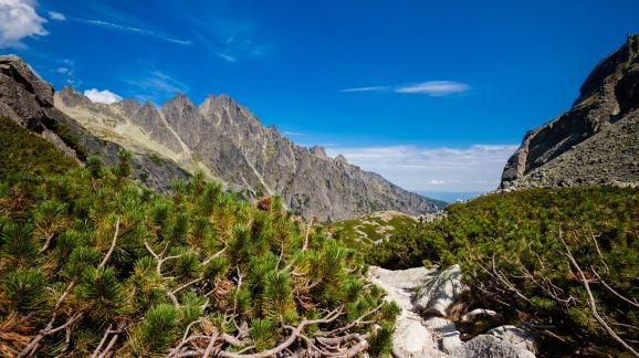 4 diena - shutterstock 1172632120