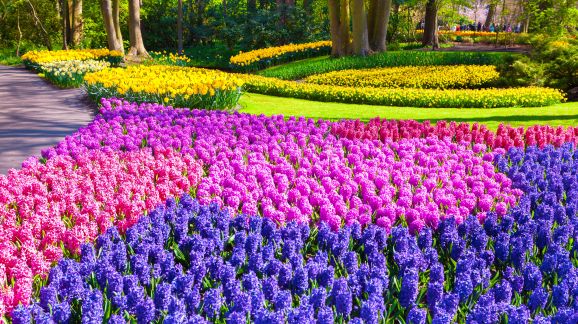 3 diena - shutterstock 302762456