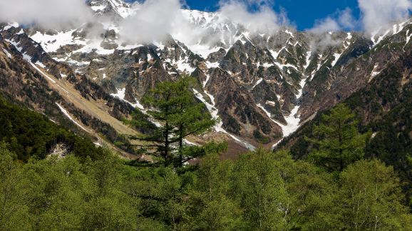 3 diena - shutterstock 2447915207