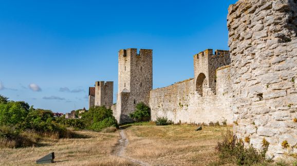 4 diena - shutterstock 2502867735