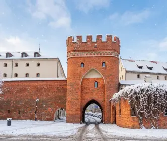Torūnė