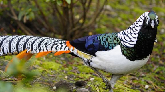 5 diena - shutterstock 2532549367