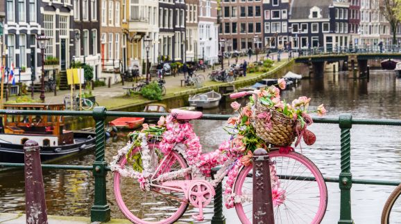 3 diena - shutterstock 2448794599