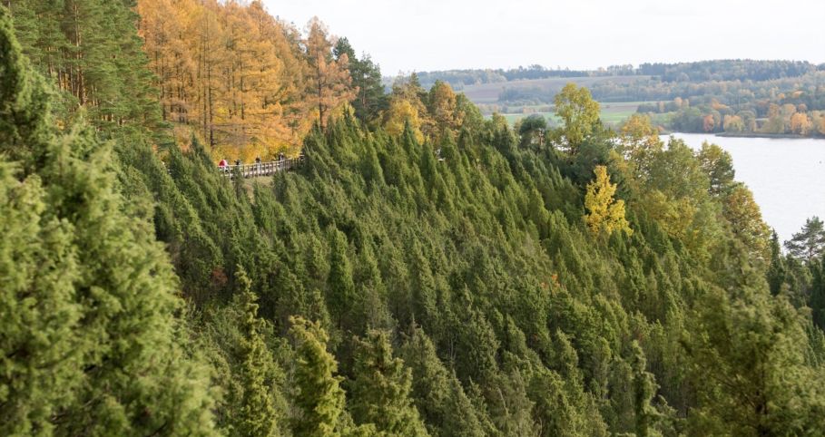 Kadagių slėnis
