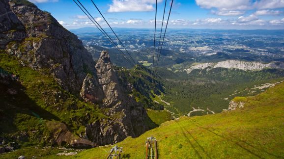 3 diena - shutterstock 2501125045