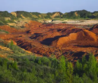 Šaltiškių karjeras