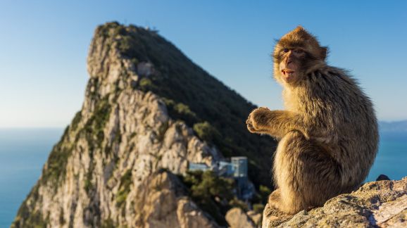 7 diena - Gibraltar (5)