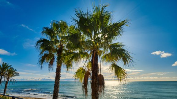 8 diena - Benalmadena