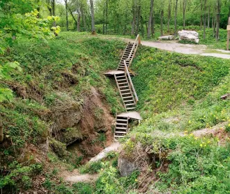 Karvės ola