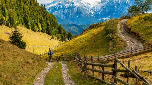 4 diena - shutterstock 2476257123
