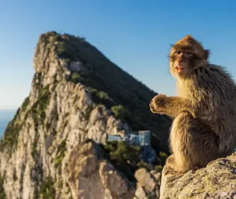 Gibraltaras