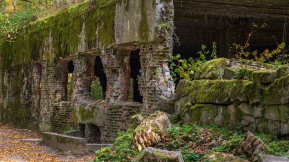 1 diena - shutterstock 2466947555