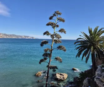 Costa del Sol