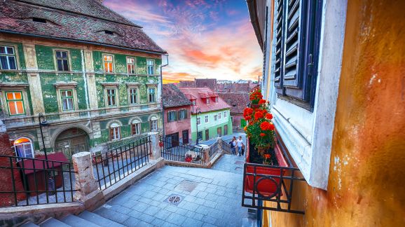 5 diena - shutterstock 1293042391