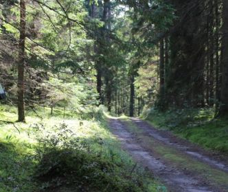 Degučių pažintinis takas