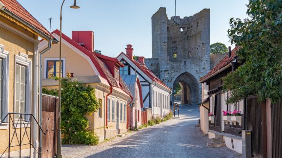 2 diena - shutterstock 2502867755