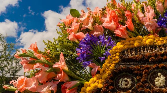 4 diena - shutterstock 2509555047