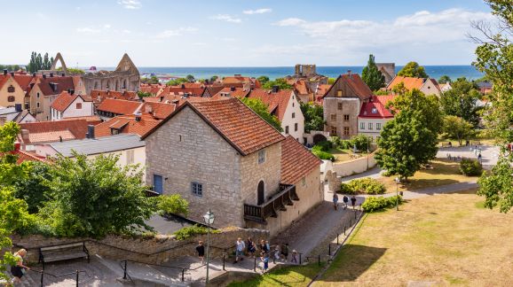 4 diena - shutterstock 2688912857