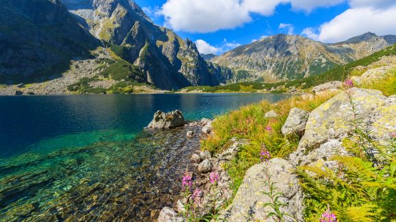 2 diena - shutterstock 189978932