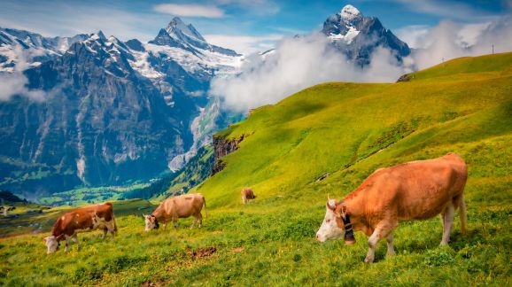 5 diena - shutterstock 2160284663