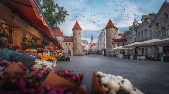 1 diena - shutterstock 2059210691