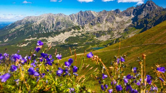 3 diena - shutterstock 2507940323