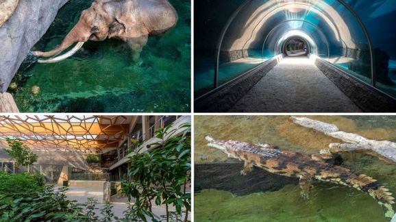 1 diena - Lodze orientarium