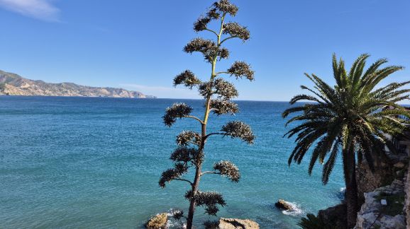 4 diena - Nerja8
