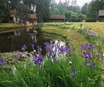 Mociškių polivarkas