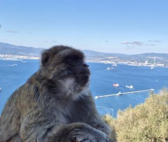 Gibraltaras