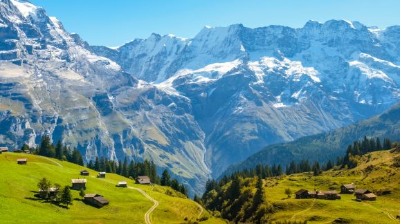 4 diena - shutterstock 2479037627