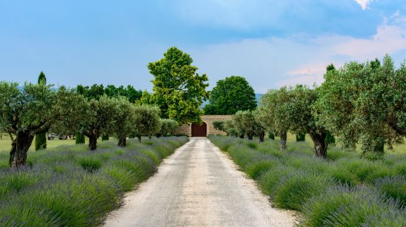 11 diena - Provansas (13)