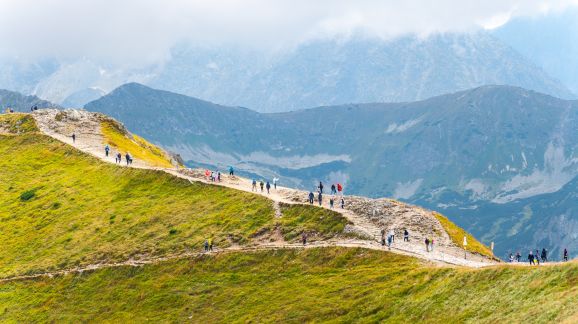 3 diena - shutterstock 2425376535